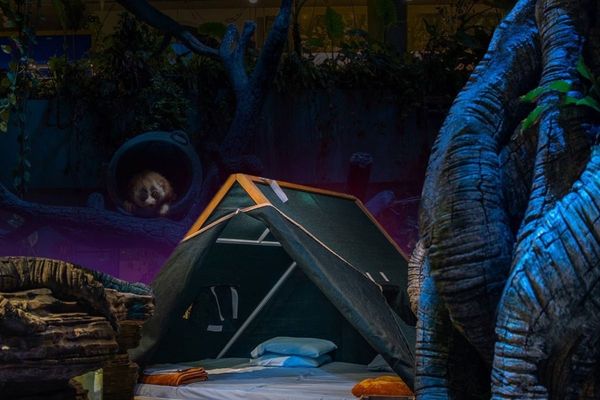 Dubai's only indoor rainforest is offering guests a chance to spend a night in the tropical bio-dome