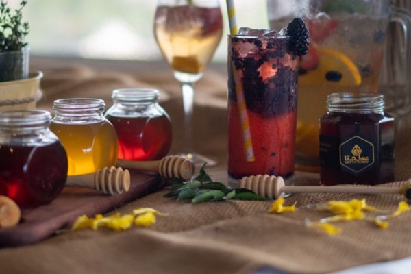 JA Hatta Fort Hotel launches bee package