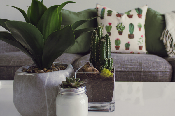 Get The Outdoor Indoors