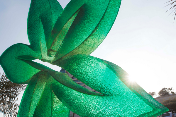 DHCA Excellence Awards 2020 recognize top Emirati contributors to healthcare