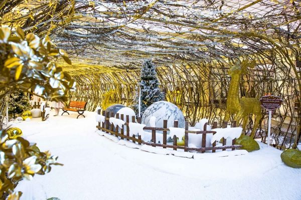 Bring in the Festive Cheer With Burjuman's Spectacular Winter Fiesta