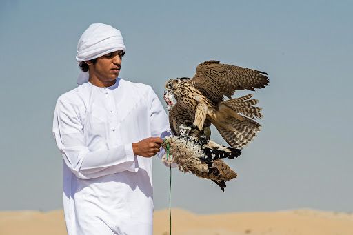 Fakhr Al Ajyal (Pride of Generations) Falconry Championship to kick off on January 30
