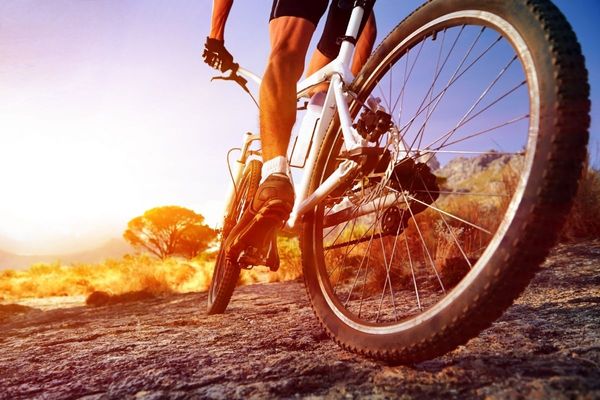 Dubai Police urge cyclists to adhere to safety guidelines, traffic laws
