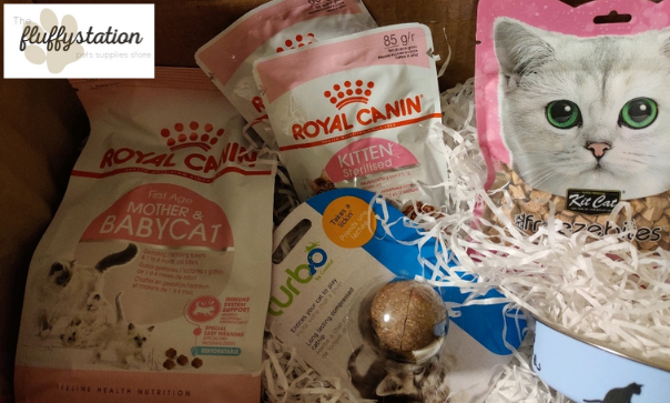 Interview with Noura Almannaee,  Founder at The Fluffy Station For Pets Supplies