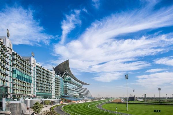 Dubai Racing Club & Dubai Equestrian Club partner up to host Dubai Equestrian Procurement Forum