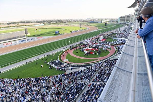Over 750 Horses Nominated for 26th Dubai World Cup Meet