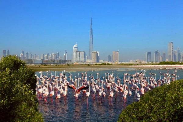 5 places to enjoy the “most beautiful winter” in Dubai