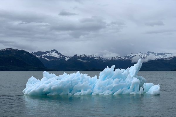 ‘Road to COP27 and COP28’ Youth Circle highlights vital role of youth in action for climate