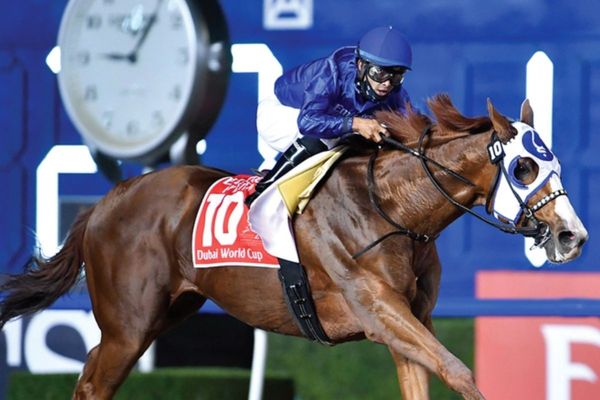 Dubai World Cup: 'Life Is Good' handed inside draw