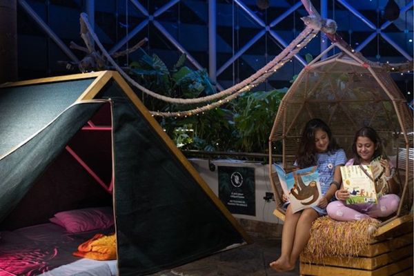 The Ultimate Summer Camp in the Rainforest is back!