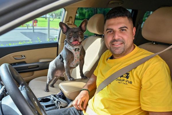 There's a new taxi service for your pets in Dubai