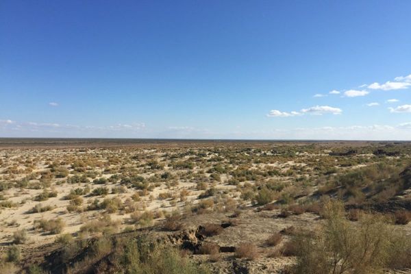 New project launched to foster agri-production in degraded areas of Aral Sea basin