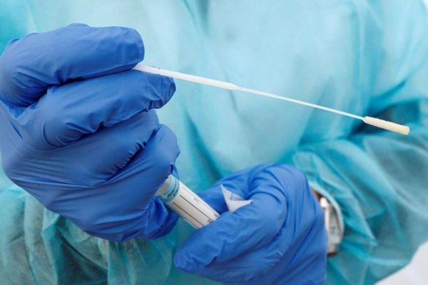 Free PCR tests for school staff & students across the UAE