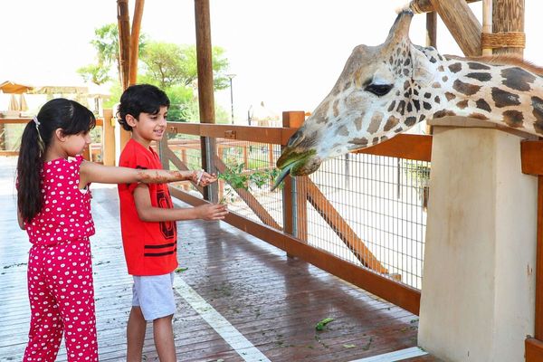 Al Ain Zoo offers various educational tours for all school students