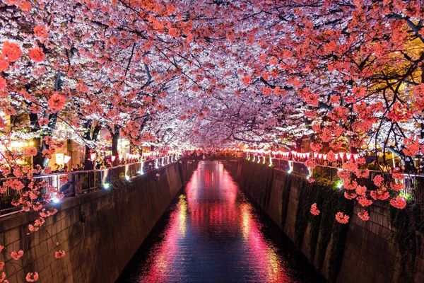Japan to open for tourism starting 11 October