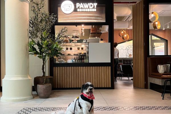 New pet-friendly café, Pawdy Neighbors, now open at Al Manzil Souk in Dubai