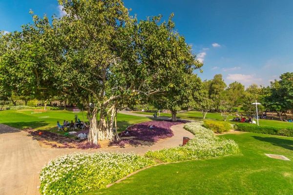 Creek Park Dubai - Fun Activities to do in Dubai Creek Park