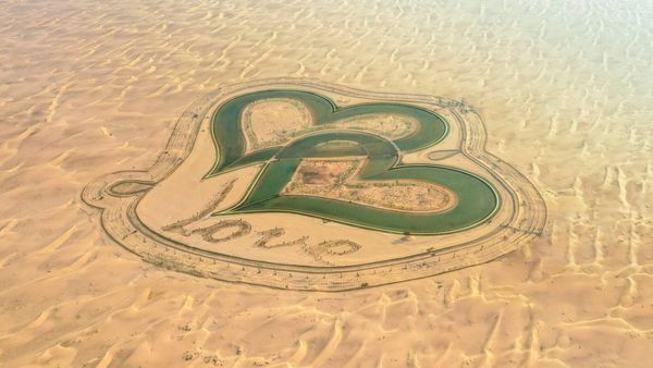 Love Lake Dubai - Why You Must visit Al Qudra Lake