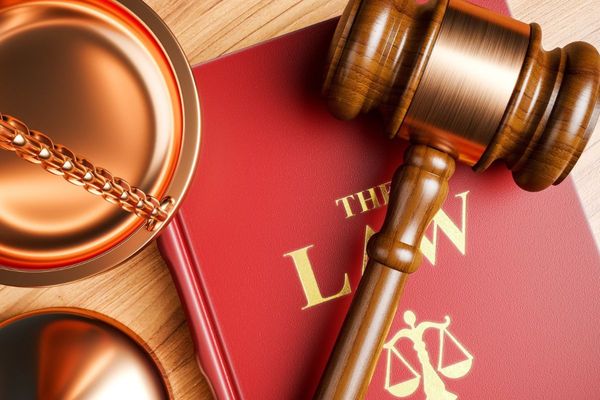 UAE: 3 new laws, initiatives that take effect from January 1