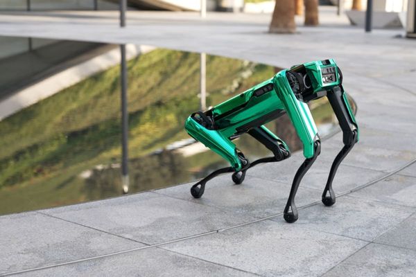Museum of the Future introduces four-legged robotic canine