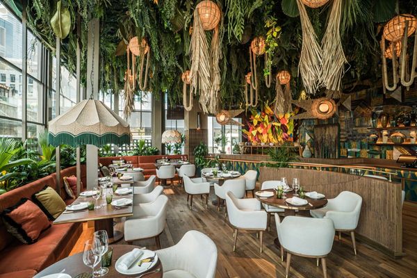 Experience the Flavors of the Amazon at Amazonico Dubai