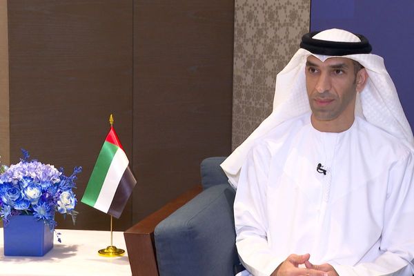 UAE planning 4 agreements linking UAE economy with over 10% of global economy