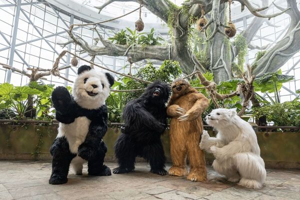 The Green Planet Dubai introduces four wildlife mascots