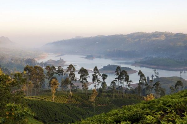 Emirates Skywards members can now bid for exclusive tea-inspired experiences with Dilmah Tea