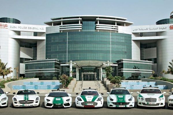 Dubai Police Advisory Council prioritizes collaboration and coordination with the community