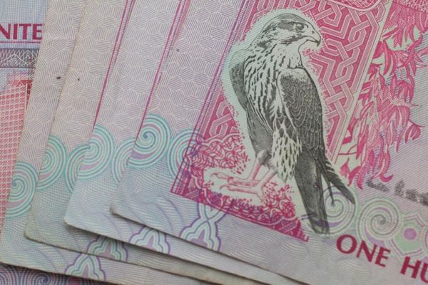 Warning Issued by Police: Sheltering Delinquent Minors in UAE Could Incur a Minimum Fine of Dh50,000