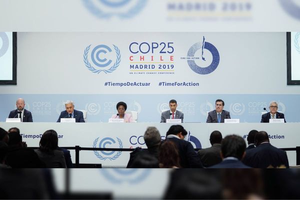 UAE delegation plays key role in supporting climate action at previous COPs
