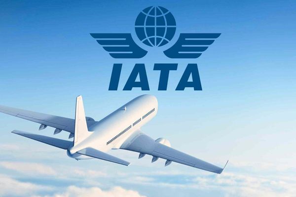 Travel demand continues strong in April; domestic traffic fully recovered: IATA