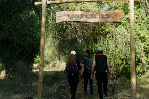 Dubai unveils new 10km hiking trail featuring wooden stairways at Mushrif Park