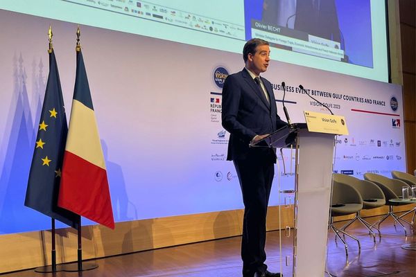 France, UAE committed to accelerating shift towards clean energy