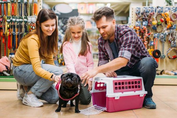 Find your furry companion at the Best Pet Shops in Dubai