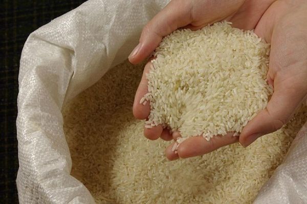 Why did the UAE impose a temporary ban on selling rice overseas?