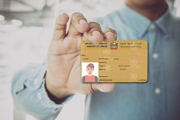 How to Your Check Labor Card Online in the UAE