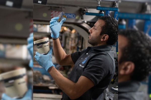 Emirati astronaut contributes to groundbreaking host-pathogen experiment on ISS
