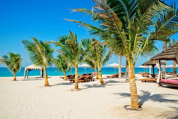 Dubai's parks and recreational facilities marks 50% YoY growth recording 15 million visitors in H1 2023