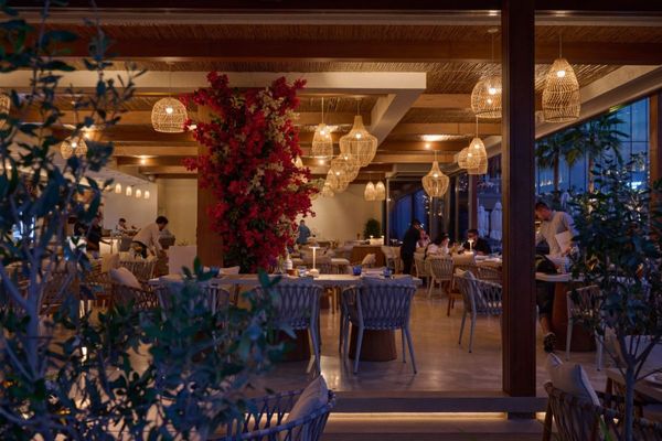 Celebrate the long weekend in style with AMMOS Greek Restaurant