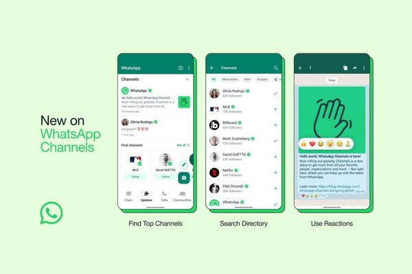 WhatsApp Channels Now Available in the UAE: Here's Your Comprehensive Guide
