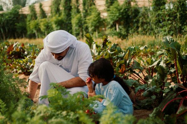 UAE: Year of Sustainability calls upon public to embrace sustainable behaviours to combat climate change