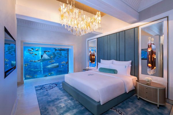 Save Big with Atlantis, The Palm's Black Friday Flash Sale