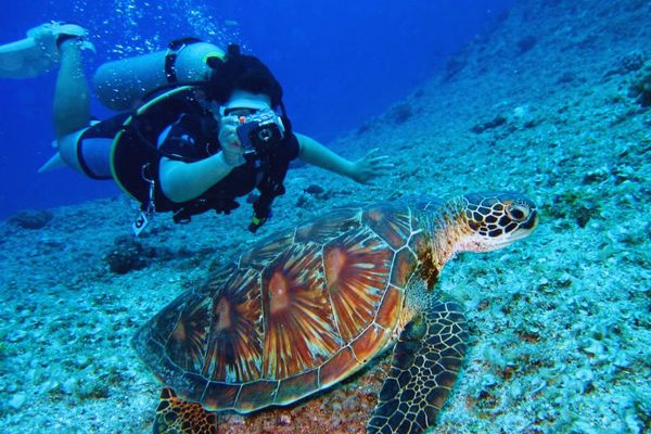 Exploring the UAE’s Underwater World: Diving Adventures in the Gulf