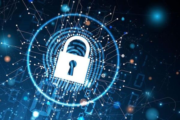 UAE Takes Proactive Measures to Boost Cybersecurity, Ensure Safe Digital Space