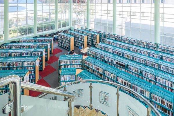 Dubai Culture Hosts Interactive Workshops for Children Under 'Nature and Science' Theme