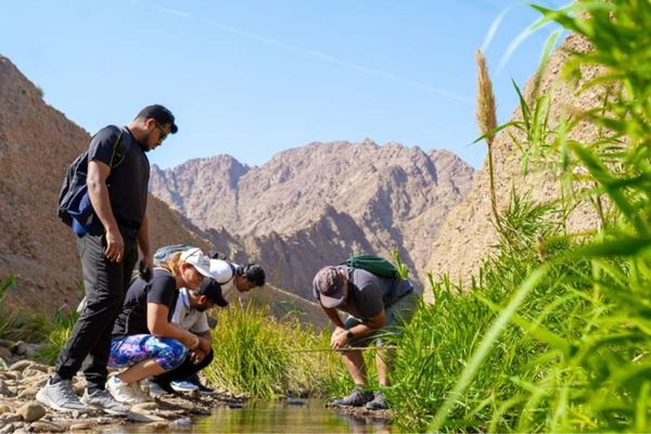 UAE: Year of Sustainability Introduces 'PopCOP' to Drive Climate Action at Community Leve