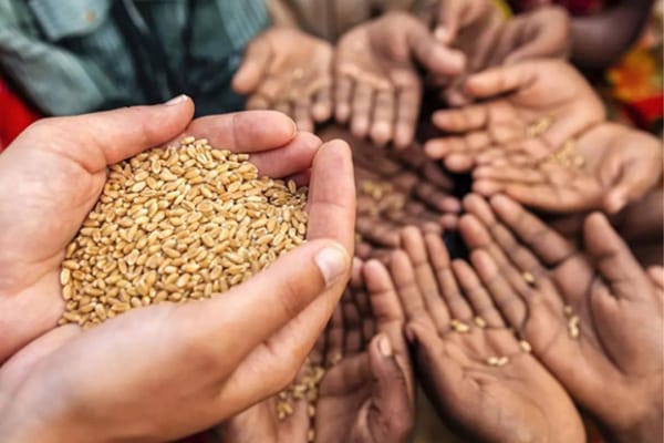 Financial Institutions Play Transformational Role in Accelerating GCC’s Food Security and Climate Goals