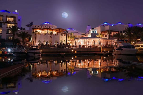 Unveil the Magic of Christmas with Park Hyatt Dubai and Montblanc’s Tree Lighting Ceremony