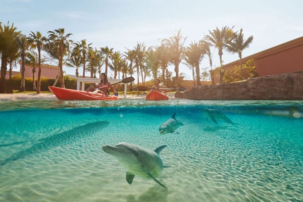 Atlantis Aquaventure To Offer Extra FREE Day at the Waterpark for Double the Fun